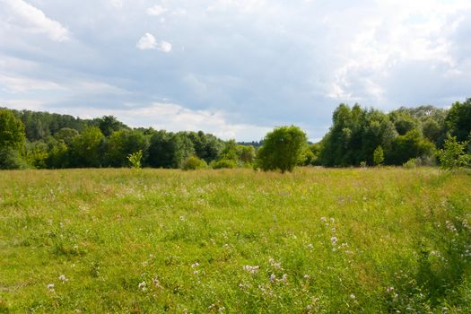 summer landscape