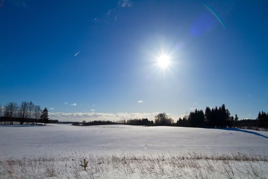 Winter landscape