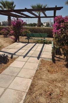 garden park with green bench and bougainvillea flowers in Greece