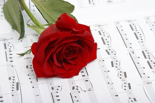 A red rose compliments the notes of music.