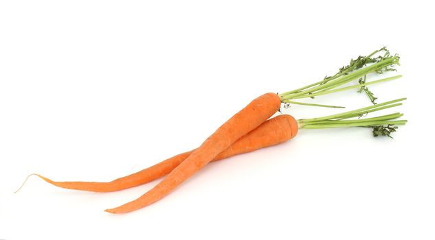 Two fresh carrots isolated on white background.