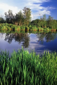 A beautiful evening at the Nara Nature Preserve in Michigans Upper Peninsula.