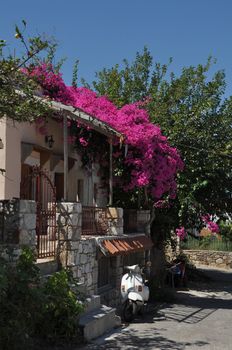 typical greek house with bougainvillea flowers and scooter