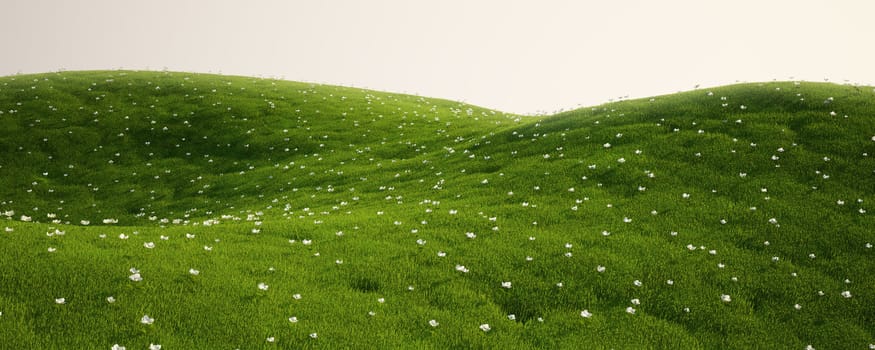 3d rendering of a green field with white flowers
