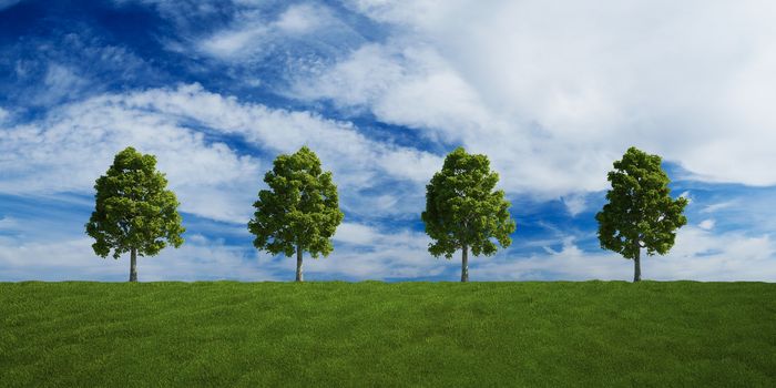 3d rendering of a green field 4 tree on a row and a nice sky