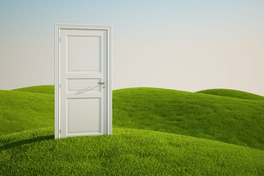 3D rendering of a grass field with a door