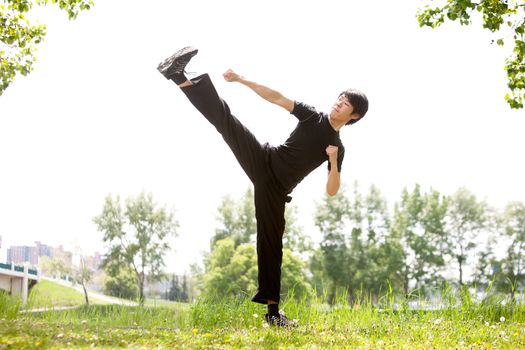 Young Martial artist with his high side kick against blur background