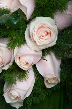 gorgeous bouquet of pink roses as background or texture