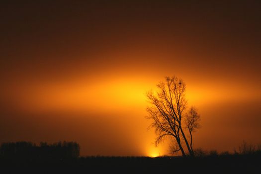 A lonely tree with huge afterglow on the sky