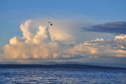 A pair of Canadian geese flying over water at dusk.
