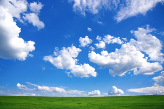 Spring Landscape - green field and blue cloudy sky 
