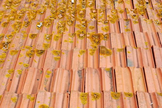 photo of a rustic and dirty roof tiles (background)