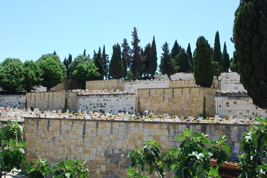 photo of a urban cemetery full of trees and flowers