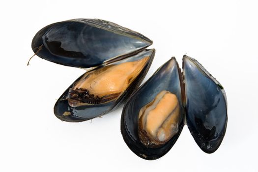 close up of fresh boiled mussels isolated on white background