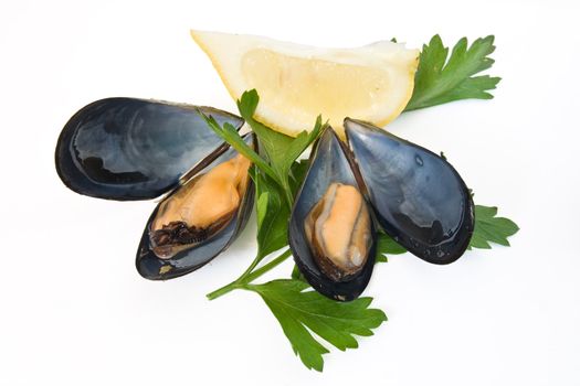 two boiled mussels with lemon and parsley isolated on white background