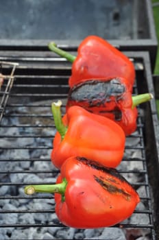 grilling red peppers on a outdoor barbecue (focus on the first)