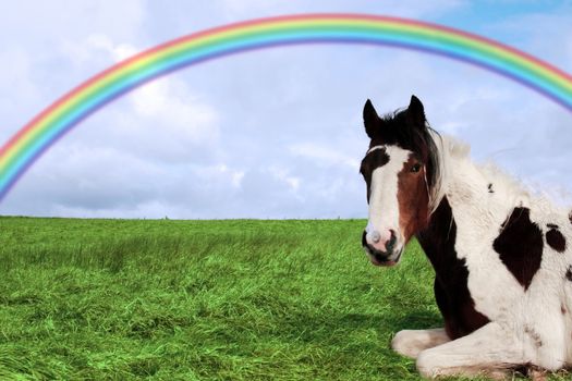 a horse resting under the arch of a rainbow