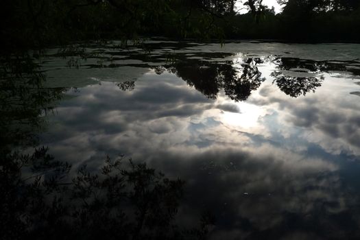 The reflection of parkland within a lake.