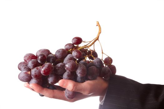 Grapes in a man hand on white background