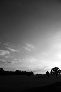 Black and white view of a landscape in Lydiard park.