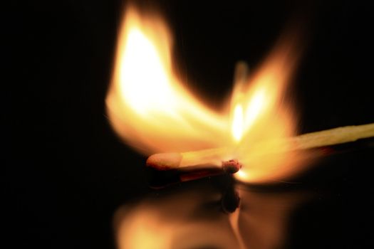 Match engulfed in flames on black