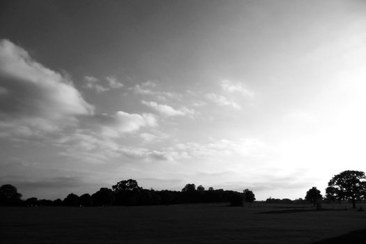 Black and white view of a landscape in Lydiard park.