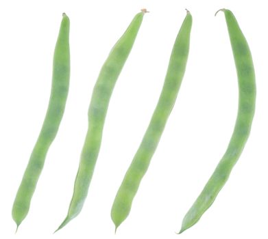 four green bean pods isolated on white background 
