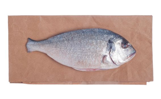raw dorado fish on market paper bag (isolated on white background)