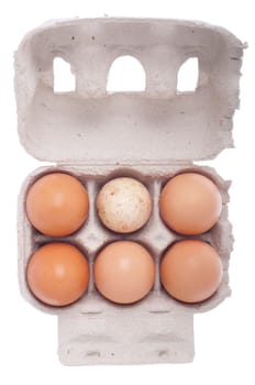 eggs in a carton box, one dirty among beige (isolated on white background)