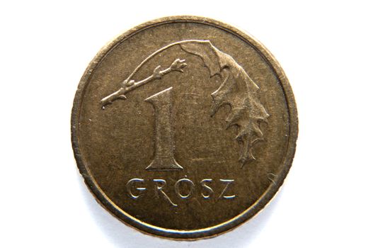 image of polish coin