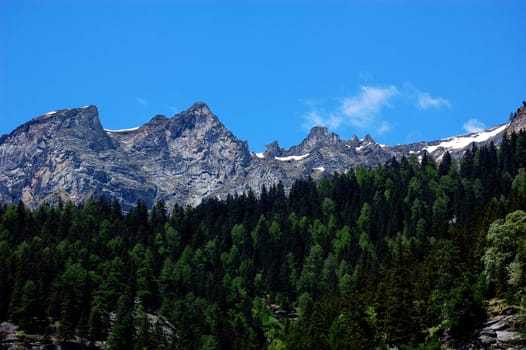 Alps Summer scenery (Italy, Val Formazza)