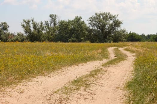 Rural sandy road among meadows and trees