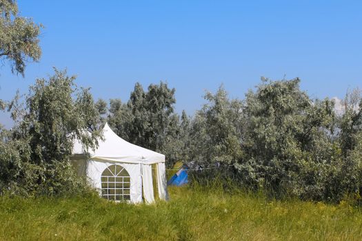 Large white tent among wild olive trees. Kinburn Spit, near Ochakiv, Ukraine