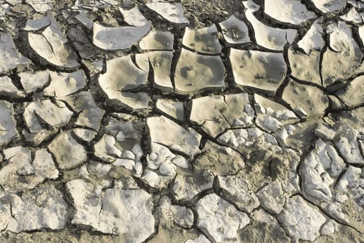 Dry soil covered with cracks