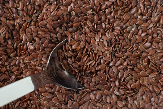 Linseed background detailed background.