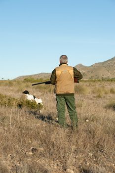 Hunter and pointer dog watching out for the prey