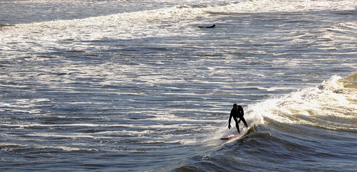 Surfer gets up on a wave. The wave twists with foam and splashes.