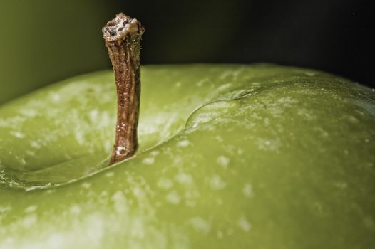 close up shot of a green apple