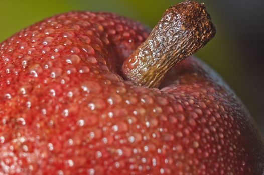 macro close up shot of a red pear