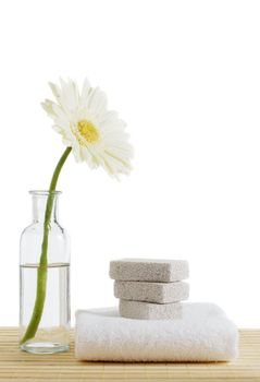 Flower and pumice stone stack against a white background.