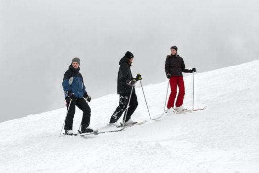 A group of skiers on the snow