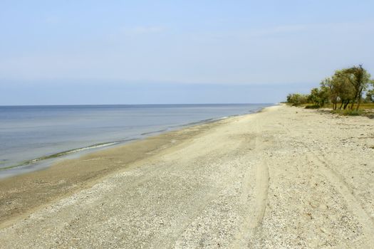 Empty wild sea shore. Kinburn Spit, near Ochakiv, Ukraine