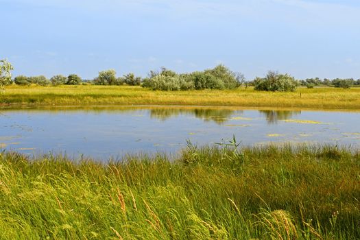 Salt lake near the sea. Kinburn Spit near the town Ochakiv, Ukraine