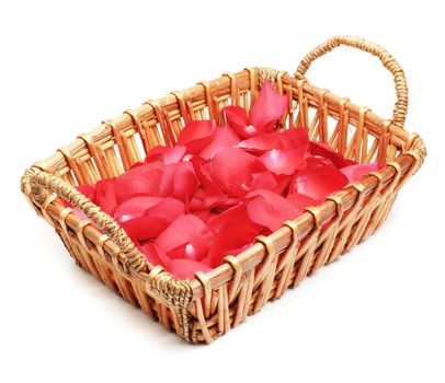 Basket full of rose petals on display against white.