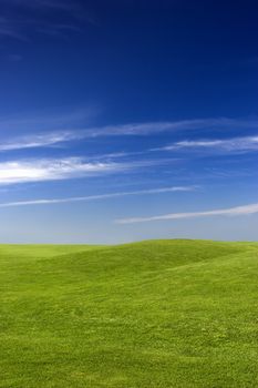 beautiful meadow with Green grass and blue sky