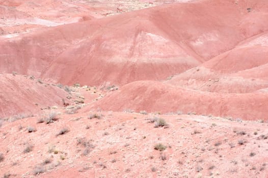 Petrified Forest - Painted Desert