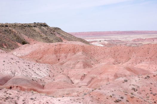 Petrified Forest