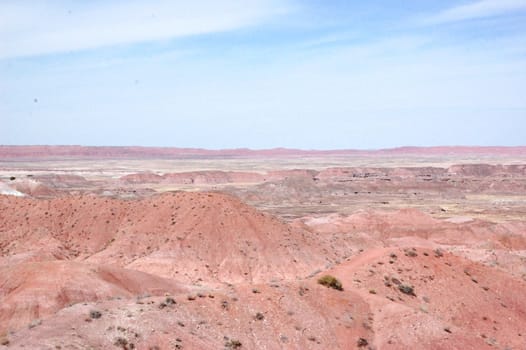 Petrified Forest