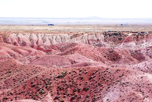 Petrified Forest