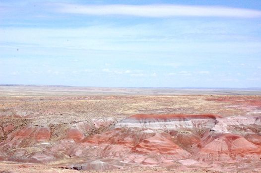 Petrified Forest